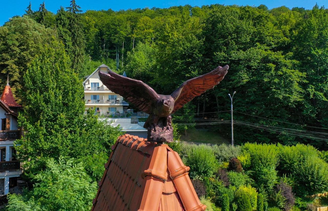 Vila Silvia Szováta Kültér fotó