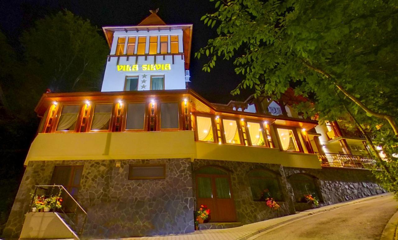 Vila Silvia Szováta Kültér fotó